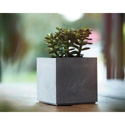 Osłonka na doniczkę kwadratowa BETON CUBE 11x11x11cm Curver