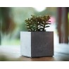 Osłonka na doniczkę kwadratowa BETON CUBE 11x11x11cm Curver