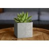 Osłonka na doniczkę kwadratowa BETON CUBE 11x11x11cm Curver