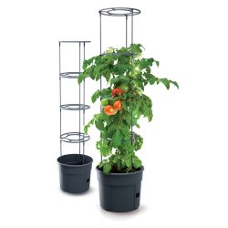 Doniczka Tomato Grower z podporą 12l do uprawy pomidorów, groszku, roślin ozdobnych.